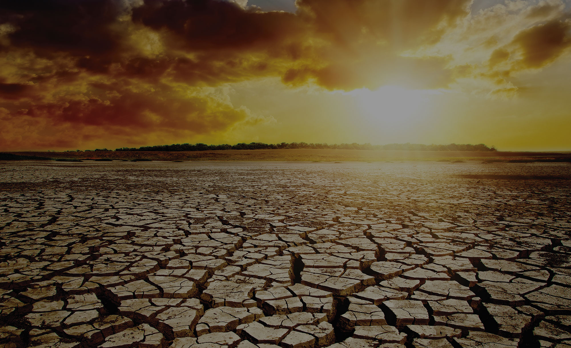 imagem de fundo destaque site Estratégias Resilientes