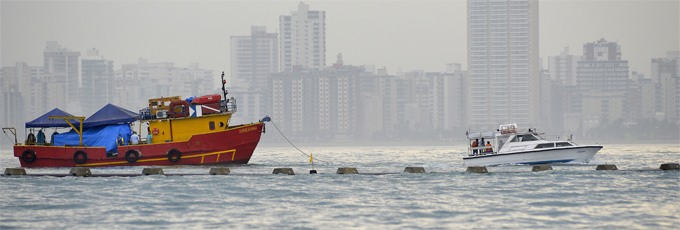 Praias limpas aumentam no litoral norte de SP, e Baixada Santista